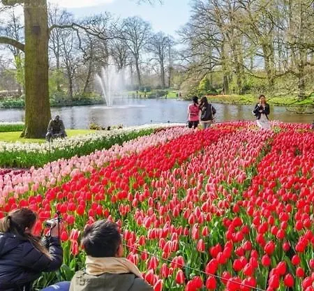 Ann's Cozy Tides By Sea With Sun-shower In Gæstehus Noordwijk