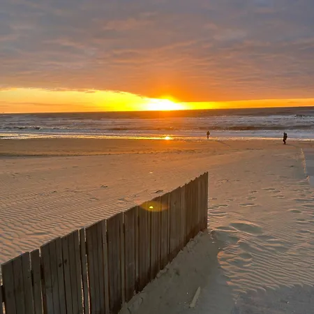 Ann's Cozy Tides By Sea With Sun-shower In 3*