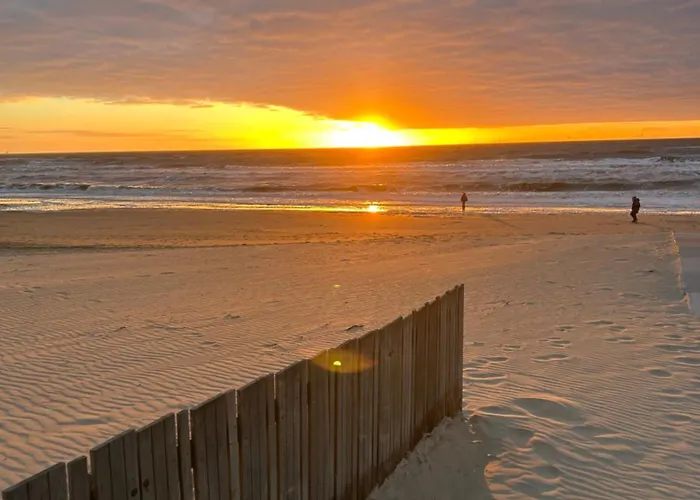 Ann's Cozy Tides By Sea With Sun-shower In 3*